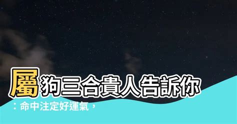 屬狗三合貴人|【肖狗三合】肖狗的緣分，三合貴人六合姻緣大揭密！